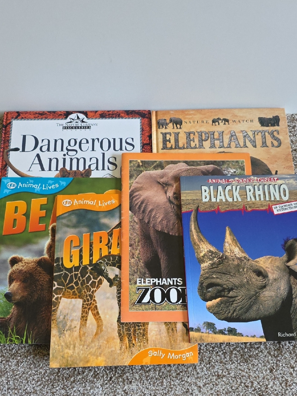 Children's Animal Book Set Dangerous Animals, Elephants, Bears, Giraffes, Rhinos